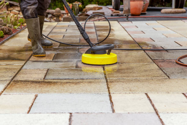 Animal Enclosure Cleaning in Stanley, NC